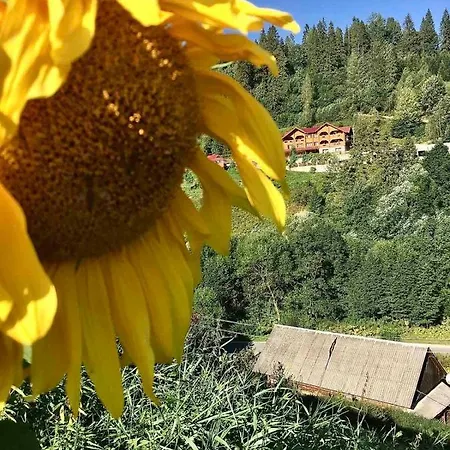 Guest house Privatna Sadiba Oryavchyk