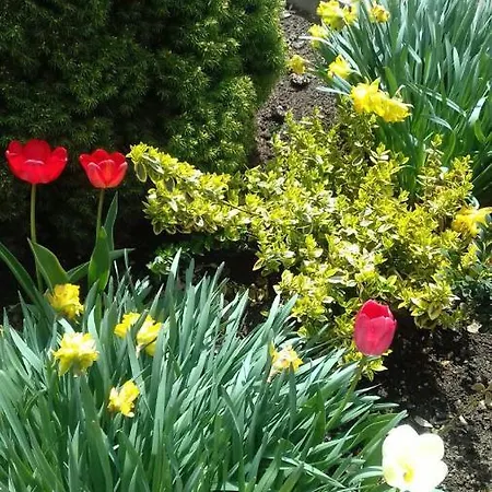 Guest house Privatna Sadiba *